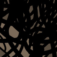 Detall arbre, de Montse Noguera